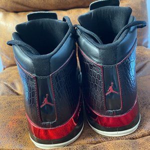 Air Jordan 17 Shoes